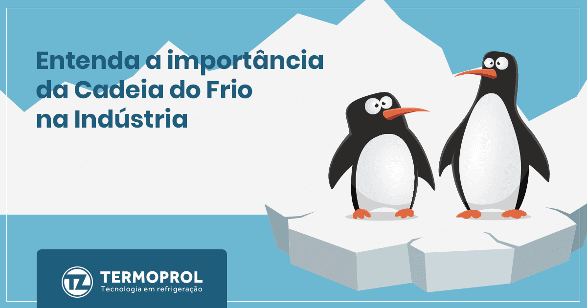 Infográfico: importância da cadeia do frio