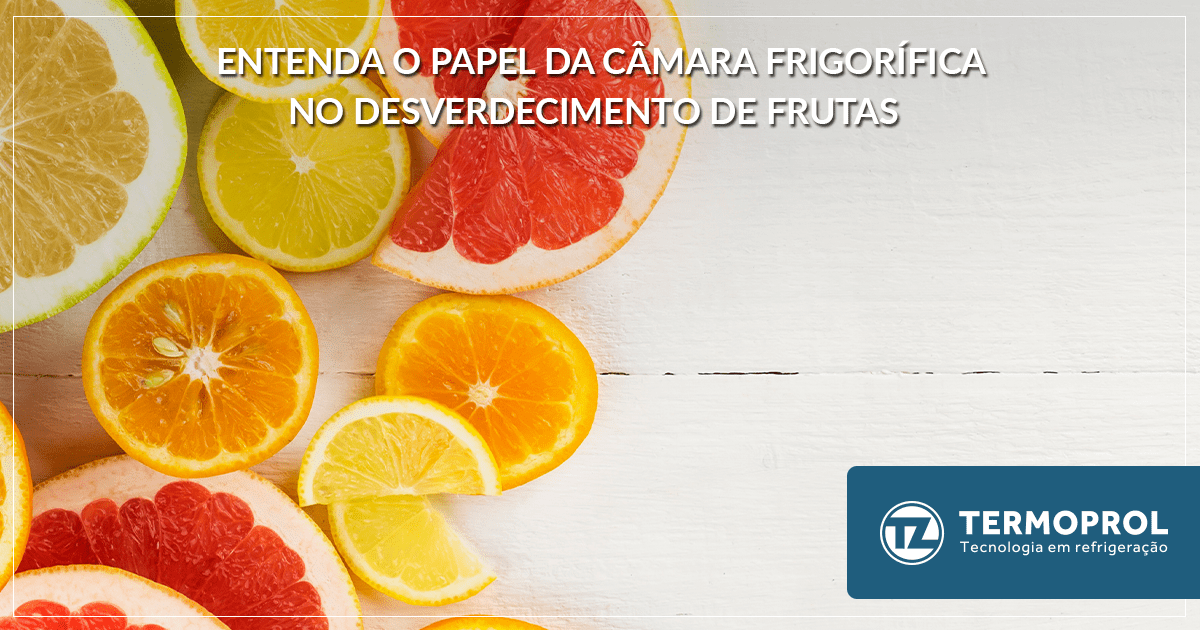 Entenda o papel da câmara frigorífica no desverdecimento de frutas