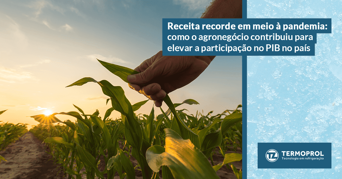 Receita recorde em meio à pandemia: como o agronegócio contribuiu para elevar a participação no PIB no país