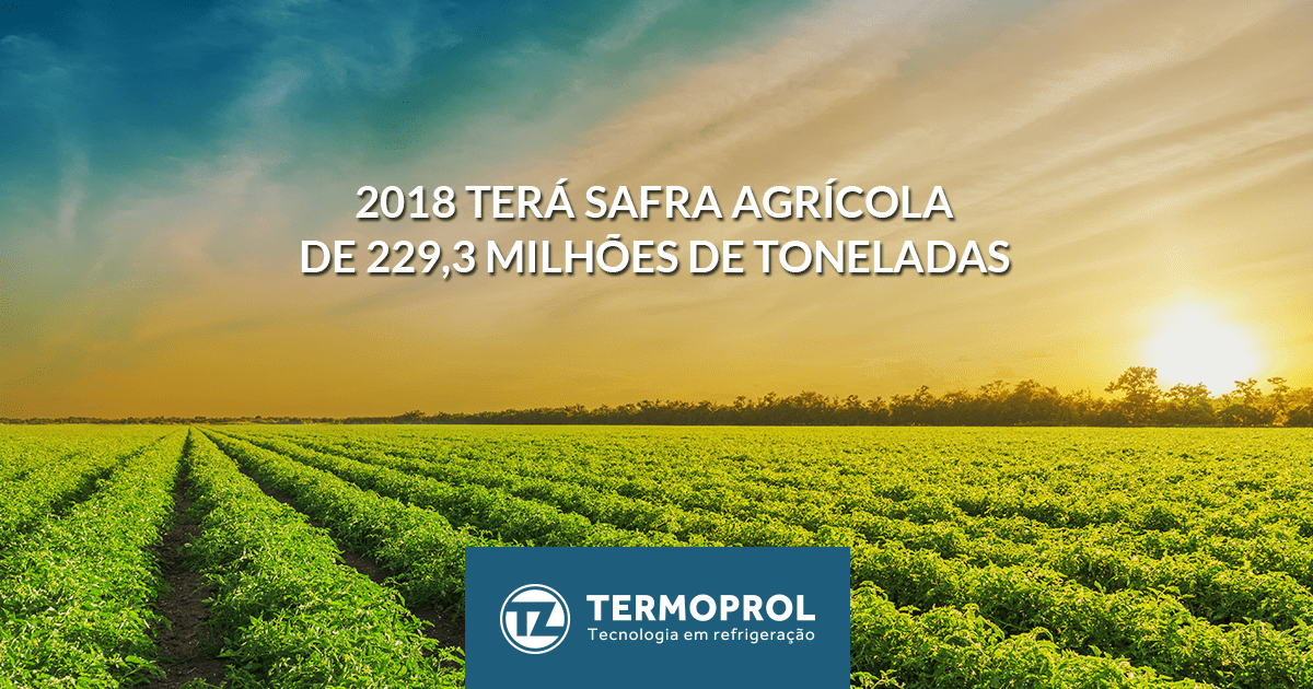 Safra agrícola de 2018 será de 229,3 milhões de toneladas no total