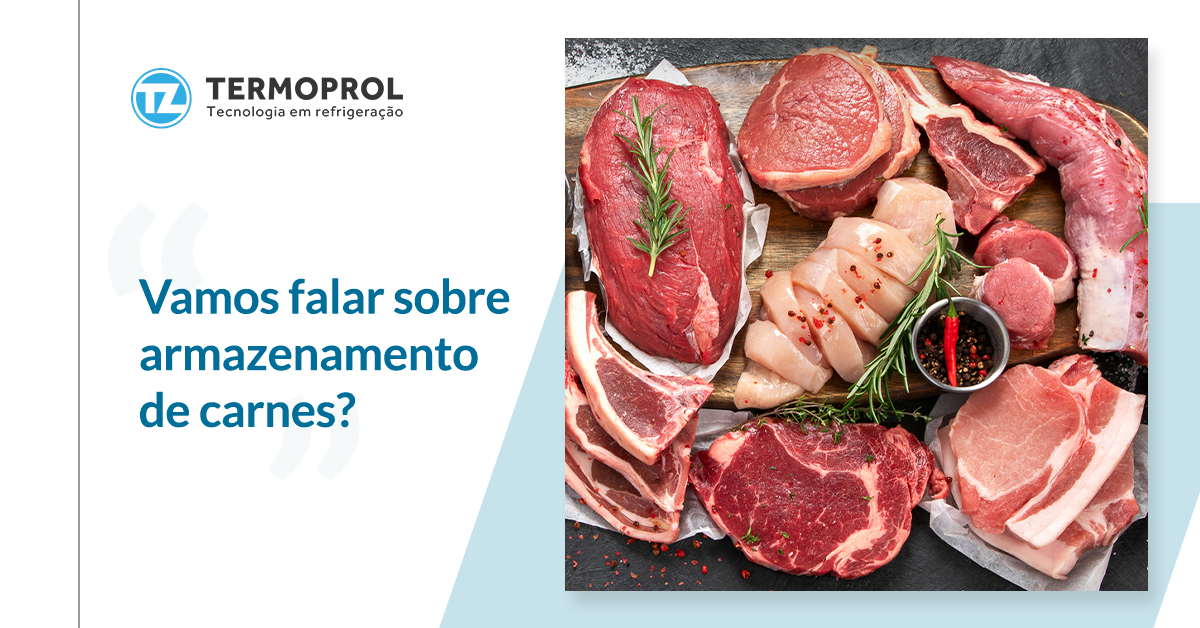 Vamos falar sobre armazenamento de carnes?