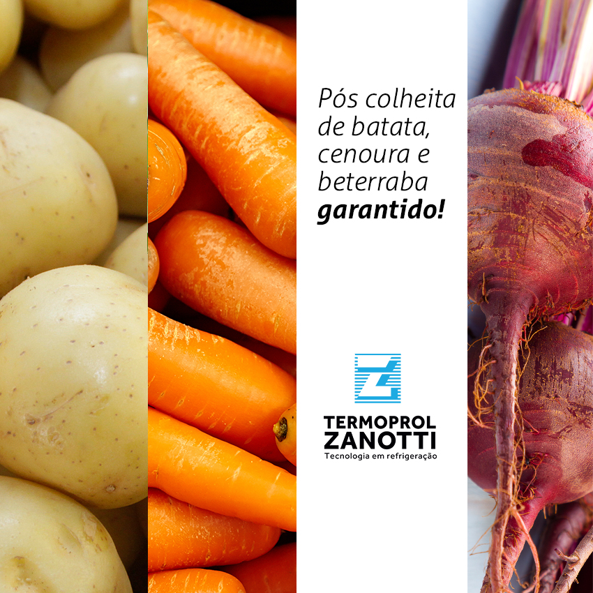 Pós colheita de batata, cenoura e beterraba garantido!