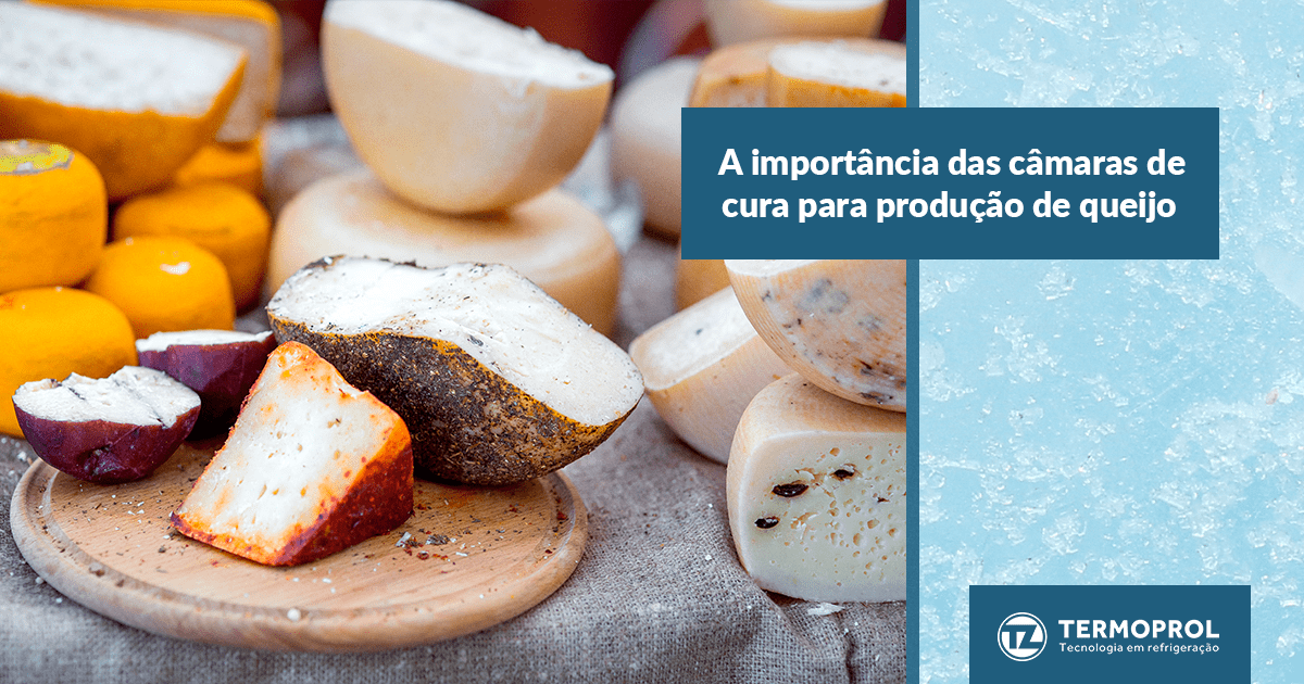 A importância das câmaras de cura para produção de queijo